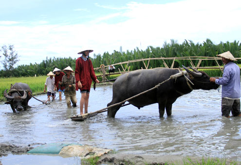 Expérience d'être un agriculteur à Hoi An